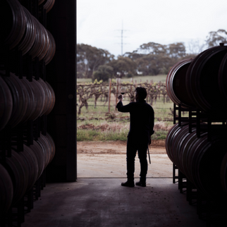 Barossa Winery